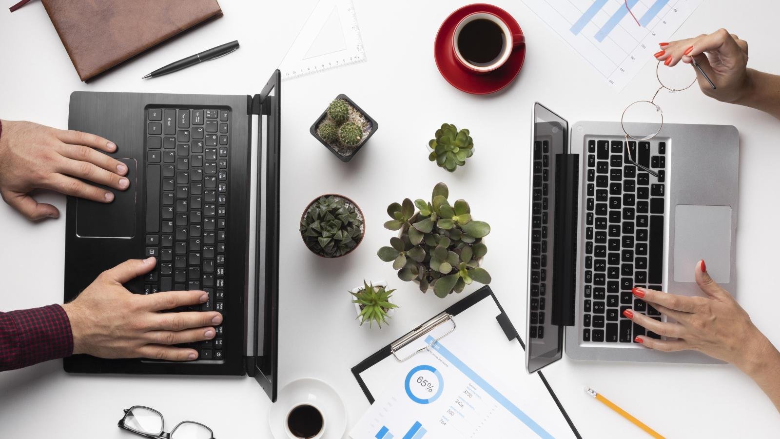 Kariyer Portalları Tarih Mi Oluyor? Yeni İş Arama Platformu: Türkiye İş Kapısı Platformu